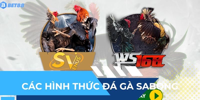 Các hình thức cá cược phổ biến trong sabong