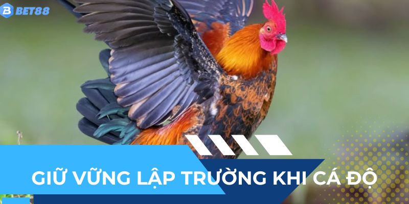 Giữ vững lập trường của mình khi cá độ để dễ thắng