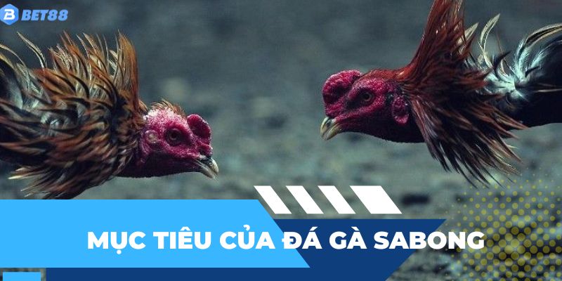 Những mục tiêu của sabong đối với thị trường và người chơi