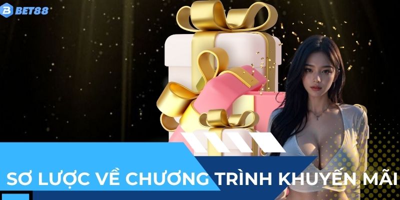 Sơ lược về chương trình khuyến mãi