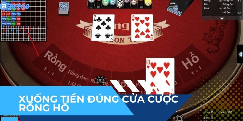 Chọn đúng cửa cược Rồng Hổ BET88 để xuống tiền