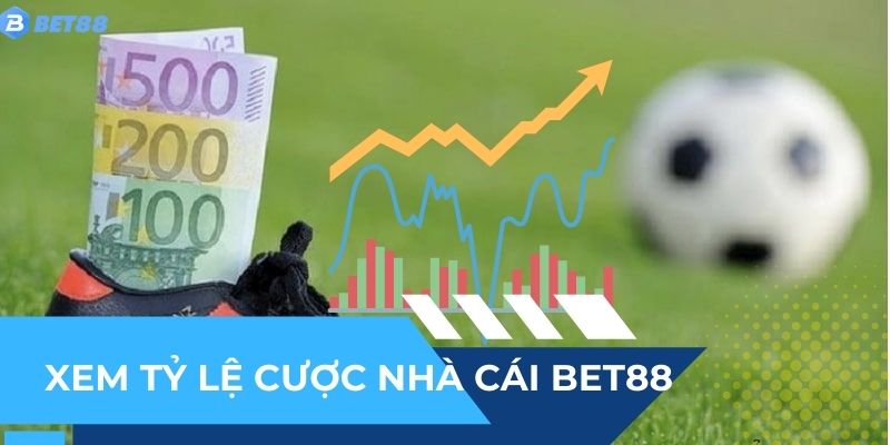 Tỷ lệ cược từ nhà cái sẽ ảnh hường cách soi kèo Châu Âu